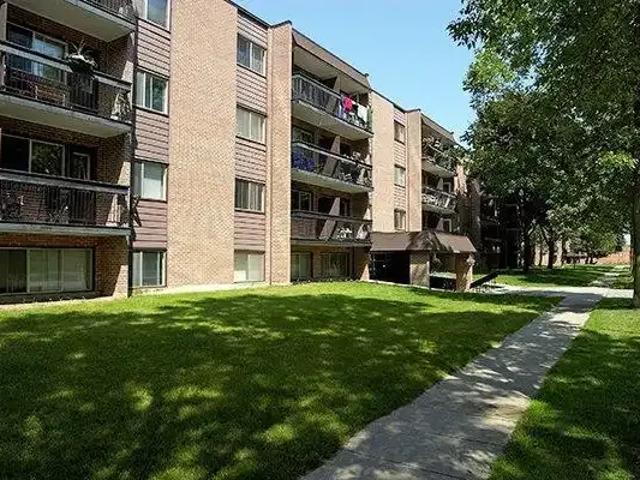 For Rent 1 Bedroom Apartment Kingston ON DS105166596