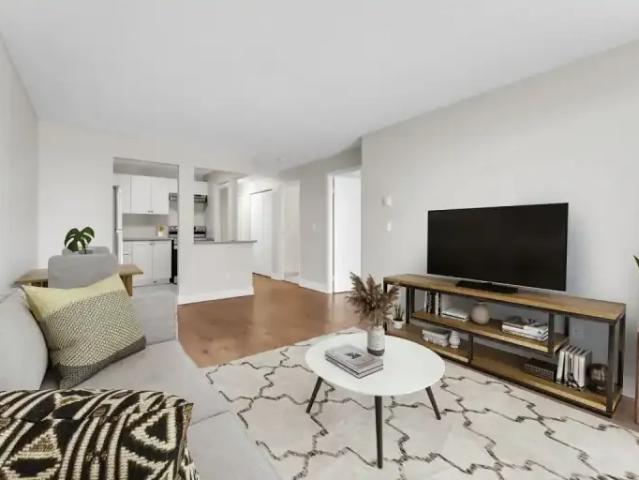 For Rent 1 Bedroom Apartment Kingston ON DS103367245