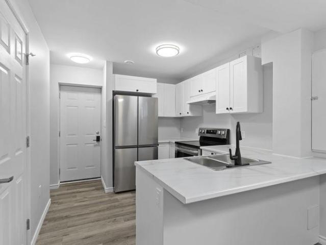 For Rent 1 Bedroom Apartment Kingston ON DS103410688