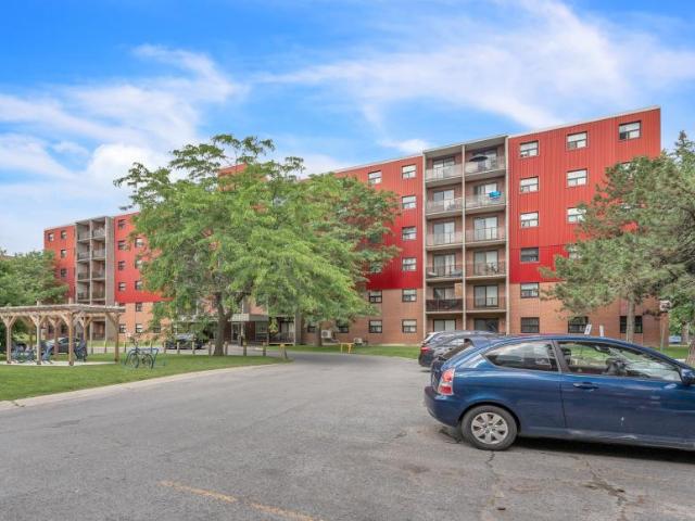 For Rent 1 Bedroom Apartment Kingston ON DS95873110