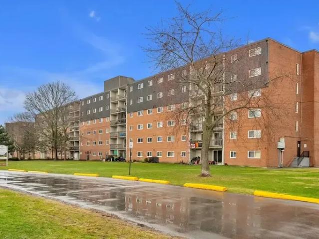 For Rent 1 Bedroom Apartment Kingston ON DS95079025