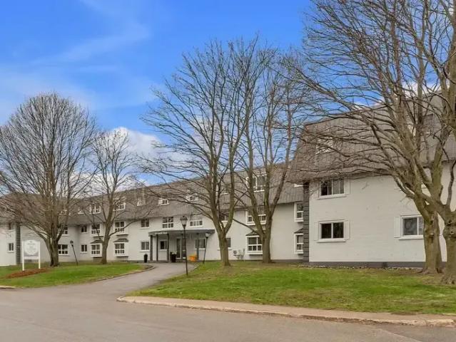 For Rent 1 Bedroom Apartment Kingston ON DS96585437