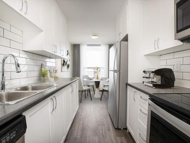 For Rent 1 Bedroom Apartment Kitchener ON DS95001957