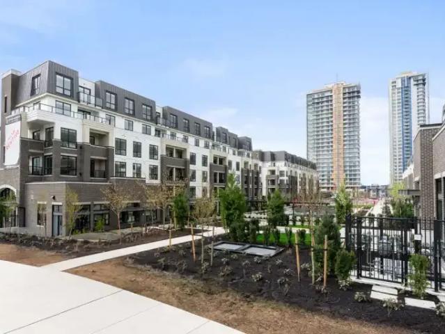 For Rent 1 Bedroom Apartment Langley BC DS100600156