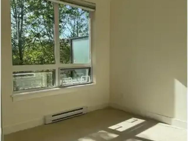 For Rent 1 Bedroom Apartment Langley BC DS103695238