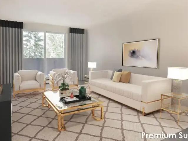 For Rent 1 Bedroom Apartment London ON DS105134953