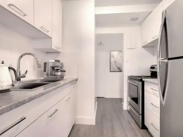 For Rent 1 Bedroom Apartment London ON DS105542950