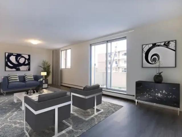 For Rent 1 Bedroom Apartment London ON DS105580100