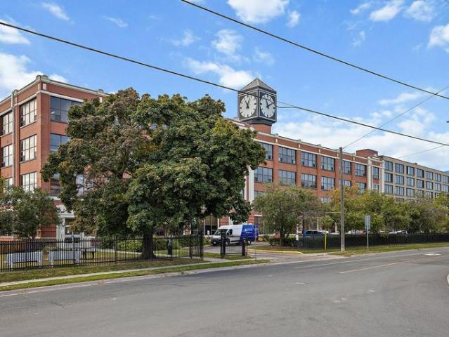 For Rent 1 Bedroom Apartment Peterborough ON DS91930819