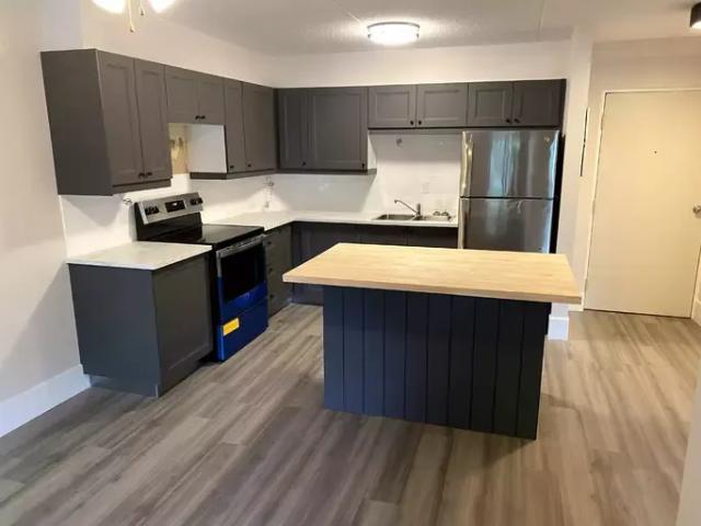 For Rent 1 Bedroom Apartment Port Colborne ON DS105736713