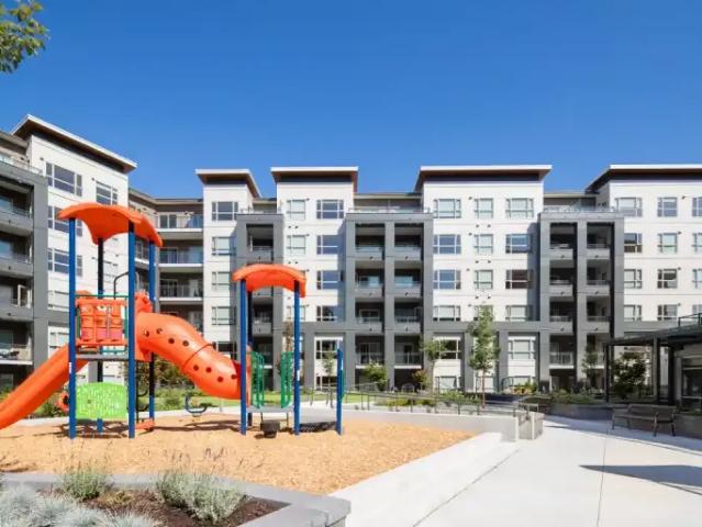 For Rent 1 Bedroom Apartment Port Coquitlam BC DS104710703