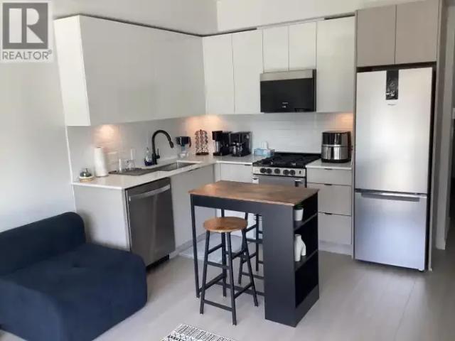 For Rent 1 Bedroom Apartment Port Coquitlam BC DS105345044