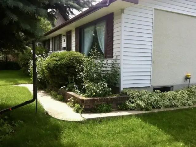 For Rent 1 Bedroom Apartment Red Deer AB DS104181815