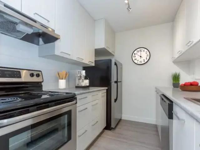 For Rent 1 Bedroom Apartment Red Deer AB DS104782115