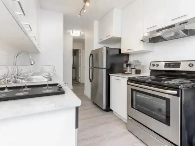 For Rent 1 Bedroom Apartment Red Deer AB DS104794301