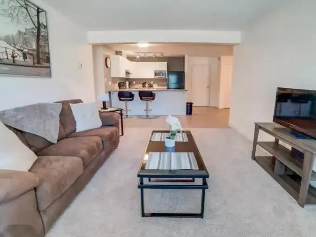 For Rent 1 Bedroom Apartment Red Deer AB DS105100297