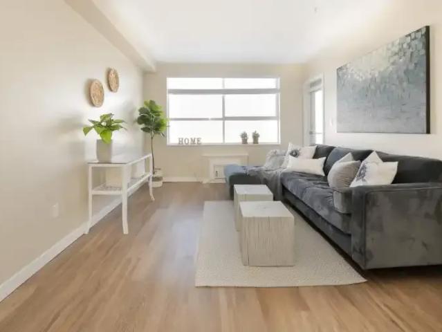 For Rent 1 Bedroom Apartment Red Deer AB DS105580155