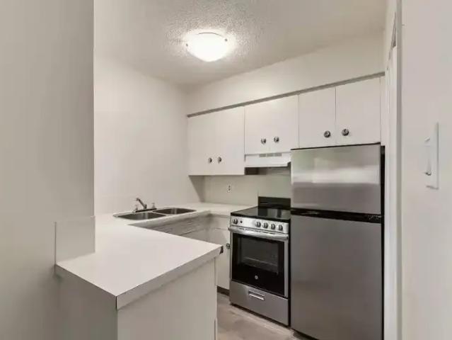 For Rent 1 Bedroom Apartment Red Deer AB DS103010787