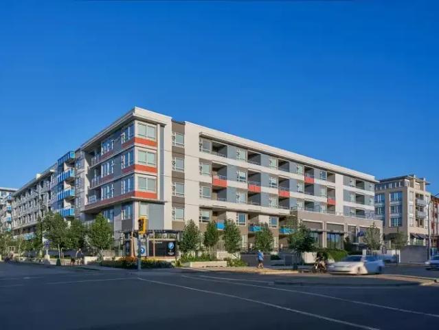 For Rent 1 Bedroom Apartment Richmond BC DS105248436