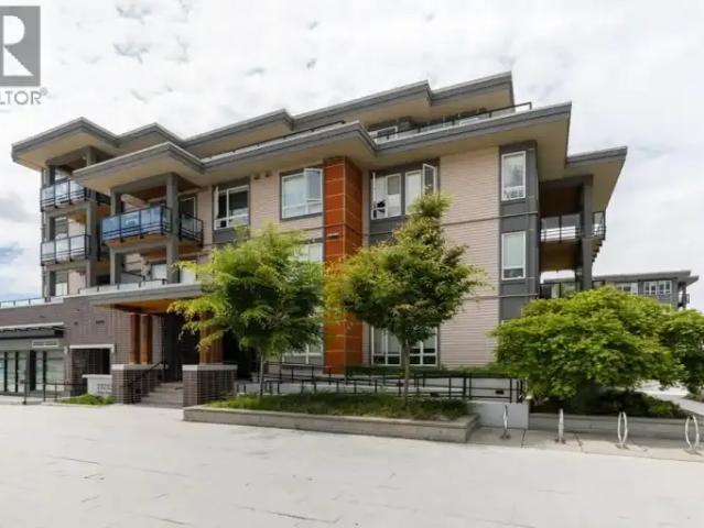 For Rent 1 Bedroom Apartment Richmond BC DS105543593