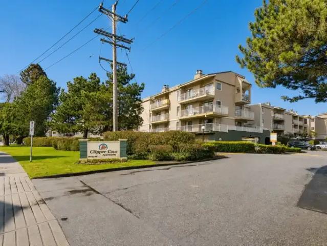 For Rent 1 Bedroom Apartment Richmond BC DS105653643