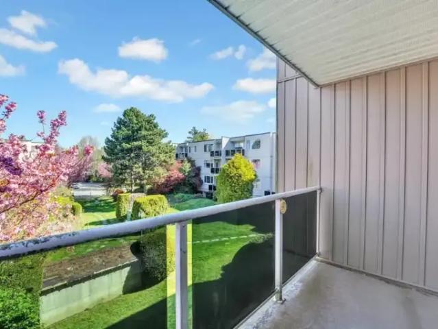 For Rent 1 Bedroom Apartment Richmond BC DS100147670