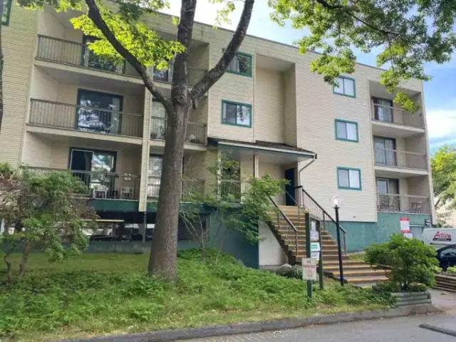For Rent 1 Bedroom Apartment Richmond BC DS96714828