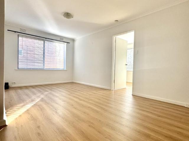 For Rent 1 Bedroom Apartment Ripponlea VIC DS105706707