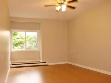 For Rent 1 Bedroom Apartment St. John's NL DS103367200