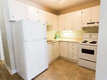For Rent 1 Bedroom Apartment St. John's NL DS103486550