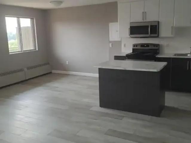 For Rent 1 Bedroom Apartment Sudbury ON DLS100486934