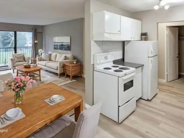 For Rent 1 Bedroom Apartment Surrey BC DLS103322779