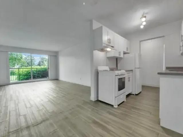 For Rent 1 Bedroom Apartment Surrey BC DLS104887739