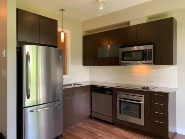 For Rent 1 Bedroom Apartment Surrey BC DS104471086