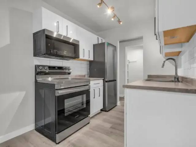 For Rent 1 Bedroom Apartment Surrey BC DS104863068