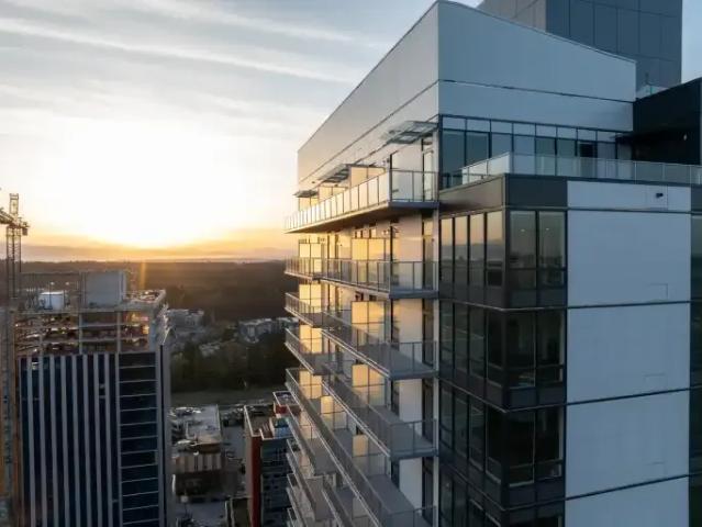 For Rent 1 Bedroom Apartment Surrey BC DS105047369