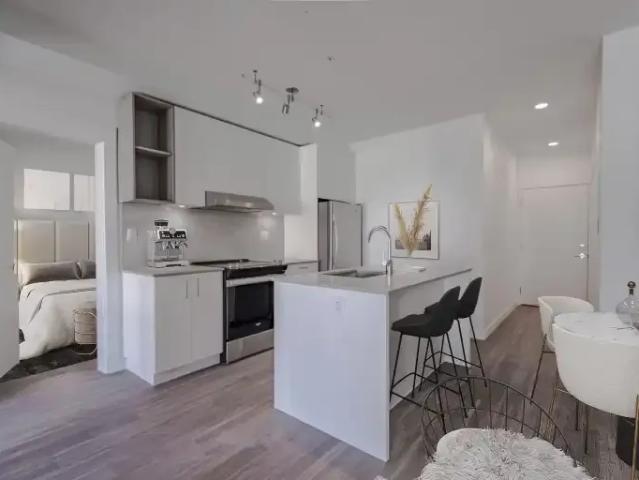 For Rent 1 Bedroom Apartment Surrey BC DS105100531