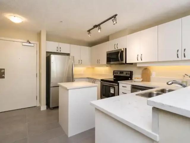 For Rent 1 Bedroom Apartment Surrey BC DS105394998