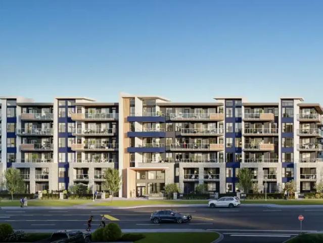 For Rent 1 Bedroom Apartment Surrey BC DS105467093