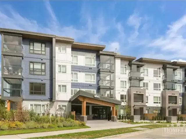 For Rent 1 Bedroom Apartment Surrey BC DS105467379