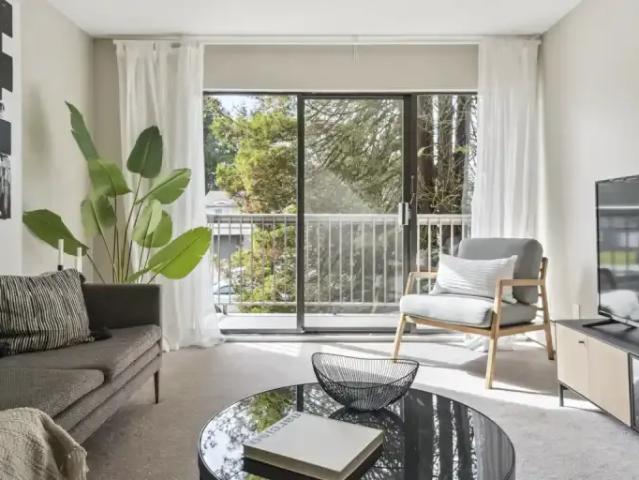 For Rent 1 Bedroom Apartment Surrey BC DS105410226