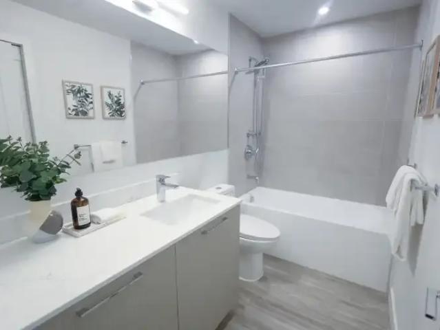 For Rent 1 Bedroom Apartment Surrey BC DS105543214