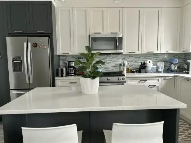For Rent 1 Bedroom Apartment Surrey BC DS105643507