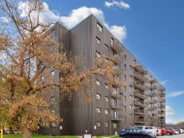 For Rent 1 Bedroom Apartment Sarnia ON DS96563592