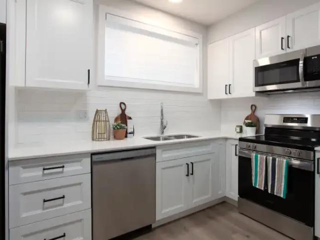 For Rent 1 Bedroom Apartment Spruce Grove AB DS103322343