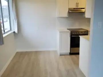 For Rent 1 Bedroom Apartment Vancouver BC DS100707965