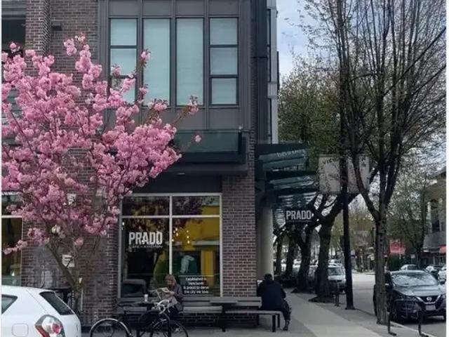 For Rent 1 Bedroom Apartment Vancouver BC DS103379718
