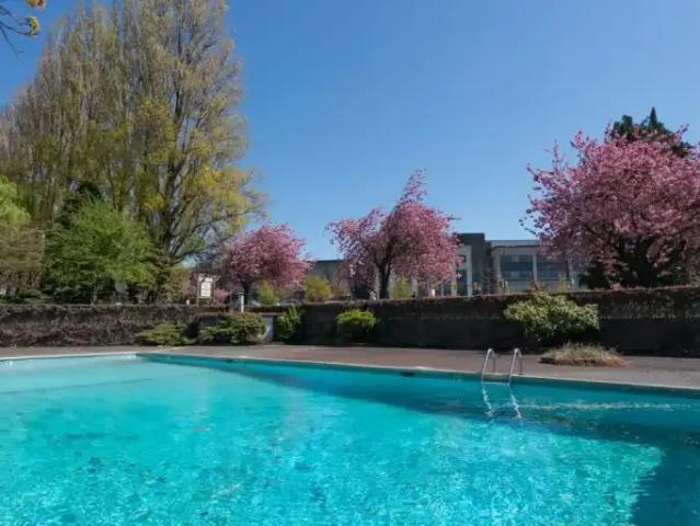 For Rent 1 Bedroom Apartment Vancouver BC DS103611350