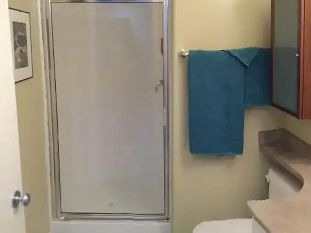 For Rent 1 Bedroom Apartment Vancouver BC DS105755626
