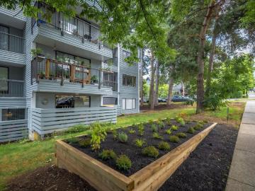 For Rent 1 Bedroom Apartment Vancouver BC DS98314482